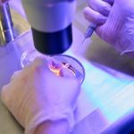 IVF IVF